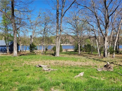 Own a prime piece of lakefront property at Lake of the Ozarks! - photo 5