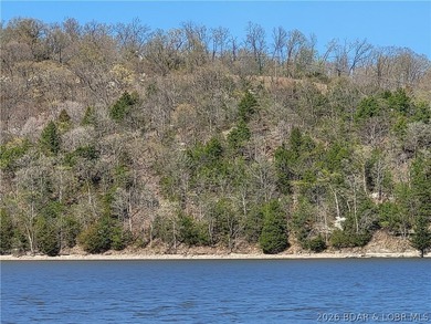 Own a prime piece of lakefront property at Lake of the Ozarks! - photo 6