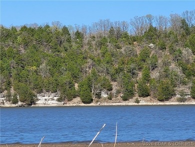 Own a prime piece of lakefront property at Lake of the Ozarks! - photo 7
