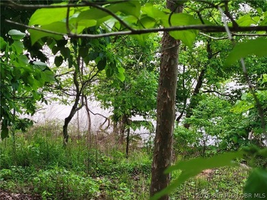 Build your lake dream on this 0.85-acre lot located at the 63MM - photo 1
