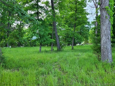 Build your lake dream on this 0.85-acre lot located at the 63MM - photo 3