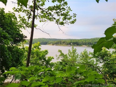 Build your lake dream on this 0.85-acre lot located at the 63MM - photo 4