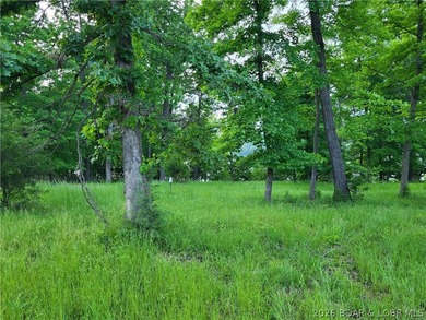 Build your lake dream on this 0.85-acre lot located at the 63MM - photo 6