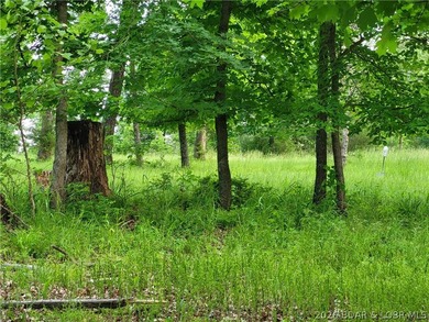 Build your lake dream on this 0.85-acre lot located at the 63MM - photo 8