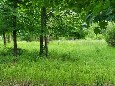 Build your lake dream on this 0.85-acre lot located at the 63MM - photo 9