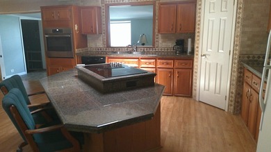33217 Sand Dune Lane is located in beautiful Lake Griffin Harbor - photo 8