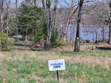 Discover the ideal setting for your lakefront dream home on the - photo 2