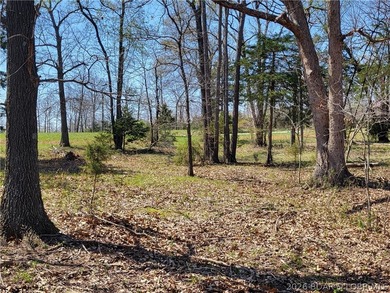 Discover the ideal setting for your lakefront dream home on the - photo 4