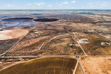 (private lake, pond, creek) Home For Sale in Seminole Texas