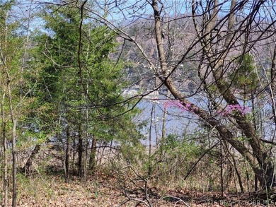 Enjoy the best of lake living on the beautiful Lake of the - photo 1