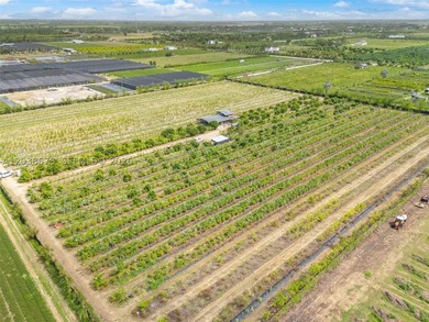 10 ACRES 2 BUILDABLE SITES DIESEL IRRIGATED GUAVA, AND LONGAN - photo 11