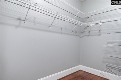 Move-In Ready in Chapin's Desirable Lakeport Community! Welcome - photo 12