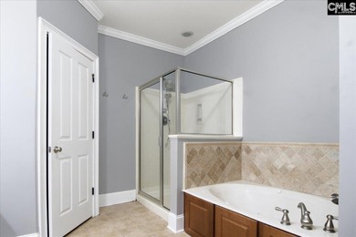 Move-In Ready in Chapin's Desirable Lakeport Community! Welcome - photo 14
