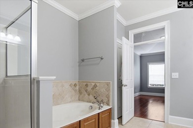 Move-In Ready in Chapin's Desirable Lakeport Community! Welcome - photo 15