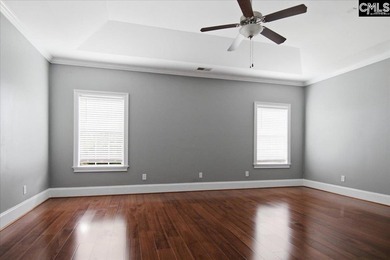 Move-In Ready in Chapin's Desirable Lakeport Community! Welcome - photo 16