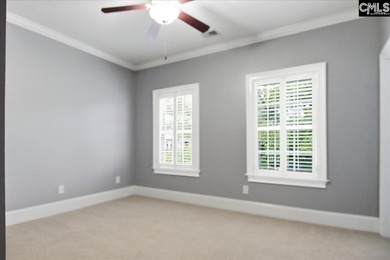 Move-In Ready in Chapin's Desirable Lakeport Community! Welcome - photo 18