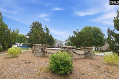 Move-In Ready in Chapin's Desirable Lakeport Community! Welcome - photo 30