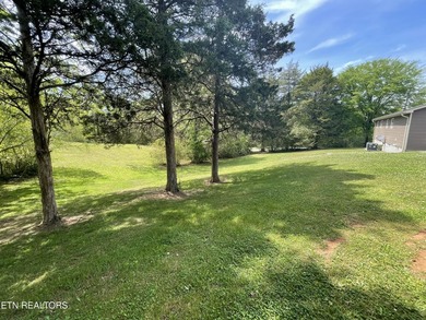 Welcome to this stunning one level 1468sf home, with a country - photo 30