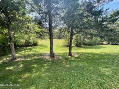 Welcome to this stunning one level 1468sf home, with a country - photo 31