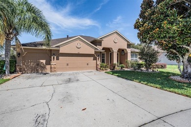 (private lake, pond, coastal) Home For Sale in Land O Lakes Florida