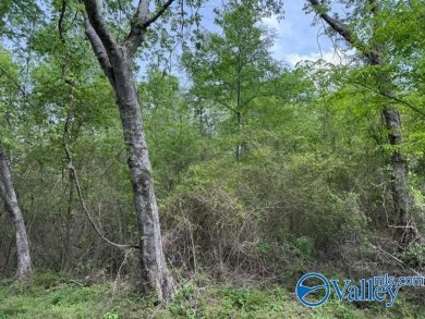 Lake Acreage For Sale in Guntersville, Alabama