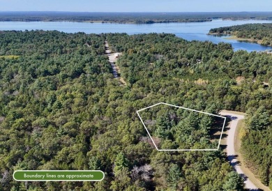 Castle Rock Lake Acreage For Sale in Friendship Wisconsin