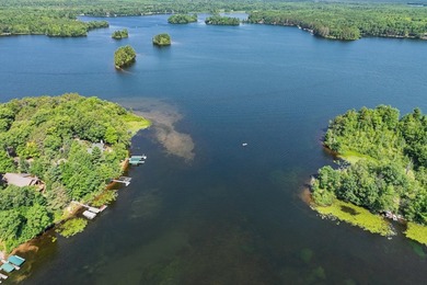 Fence Lake Chain - Built in 2006, this move-in ready 4-bedroom - photo 33