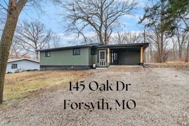 Lake Home For Sale in Forsyth, Missouri