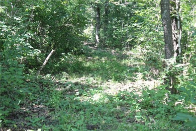 Enjoy the privacy of 31.78 mostly fenced acres just off P Road - photo 40