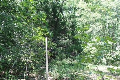 Enjoy the privacy of 31.78 mostly fenced acres just off P Road - photo 41