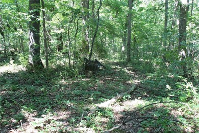 Enjoy the privacy of 31.78 mostly fenced acres just off P Road - photo 42
