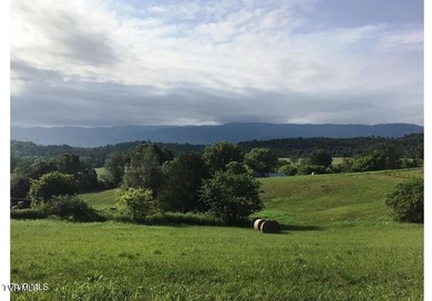 Nolichucky River Acreage For Sale in Greeneville Tennessee