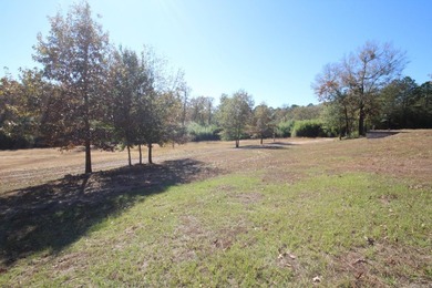 PROPERTY AVAILABLE (DAISY CREEK) 3 Fully Furnished Cabins (LOG) - photo 14