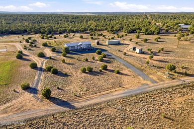 Experience modern mountain living in this beautifully upgraded