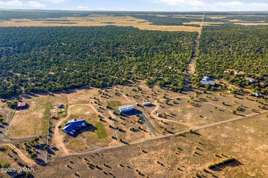 Experience modern mountain living in this beautifully upgraded