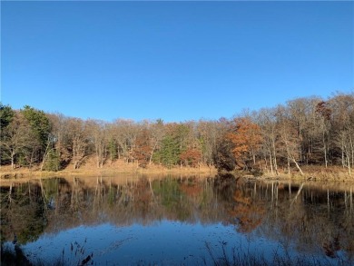 (private lake, pond, creek) Acreage For Sale in New Auburn Wisconsin