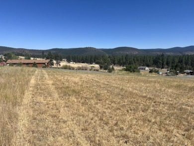 Agency Lake Lot For Sale in Chiloquin Oregon