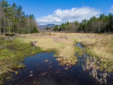 Lake Home Active Under Contract in Croydon, New Hampshire