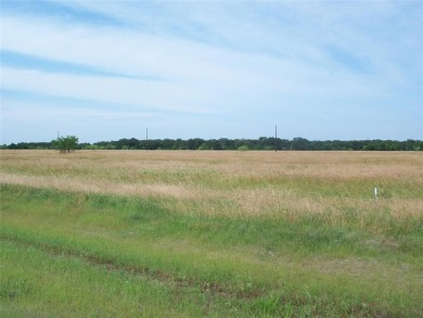 Richland Chambers Lake Acreage For Sale in Mildred Texas