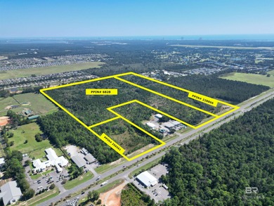 90 Acres with Highway 59 Frontage in Gulf Shores! 90+/- Acres of - photo 2