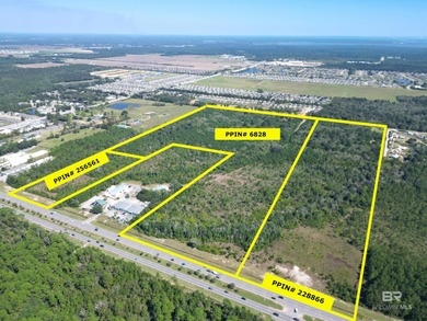 90 Acres with Highway 59 Frontage in Gulf Shores! 90+/- Acres of - photo 3