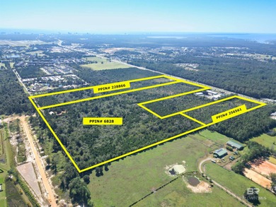 90 Acres with Highway 59 Frontage in Gulf Shores! 90+/- Acres of - photo 4