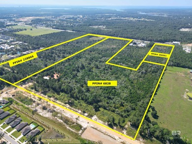 90 Acres with Highway 59 Frontage in Gulf Shores! 90+/- Acres of - photo 5