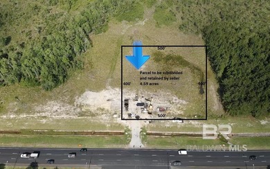 90 Acres with Highway 59 Frontage in Gulf Shores! 90+/- Acres of - photo 7