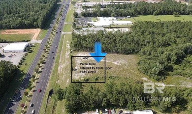 90 Acres with Highway 59 Frontage in Gulf Shores! 90+/- Acres of - photo 8