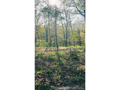 Escape to your own private slice of the Missouri countryside! - photo 1