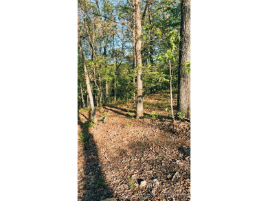 Escape to your own private slice of the Missouri countryside! - photo 5