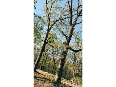 Escape to your own private slice of the Missouri countryside! - photo 9