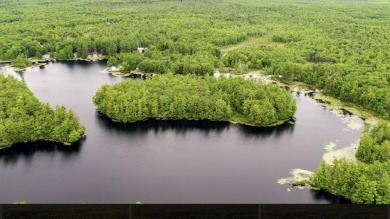 Lake Acreage For Sale in Lyman, Maine