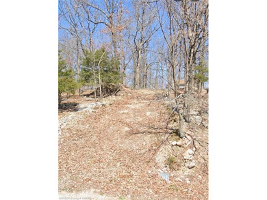 UNRESTRCICTED LAND! Here are 5.16 (+/-) acres boasting abundant - photo 2